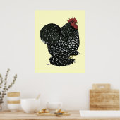 コーチン：黒い毛根 ポスター (キッチン)