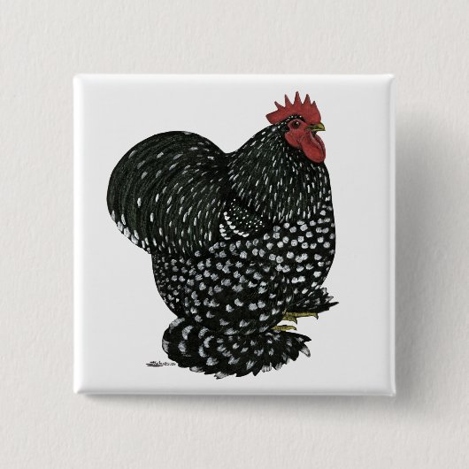 コーチン：黒い毛根 缶バッジ (正面)