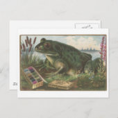 コーツスレッドカエル取引カード ポストカード (正面/裏面)