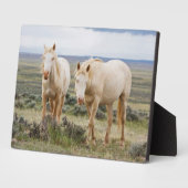 コーディのプリアールで暴れ回る野馬 フォトプラーク (側面)