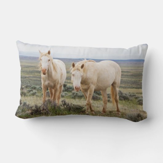 コーディのプリアールで暴れ回る野馬 ランバークッション (裏面)