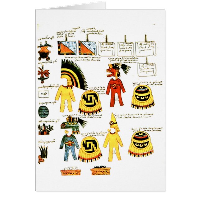 コーデックスMendoza (正面)