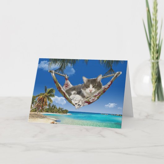 コーデュロイでカリブの、猫はハンモックカード カード (正面)