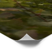 コートジボワールの古い中世シャトー・ド・ルリー ポスター (角)