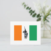 コートジボワール  コート・ジボワール サッカー フラッグ ポストカード (スタンド正面)