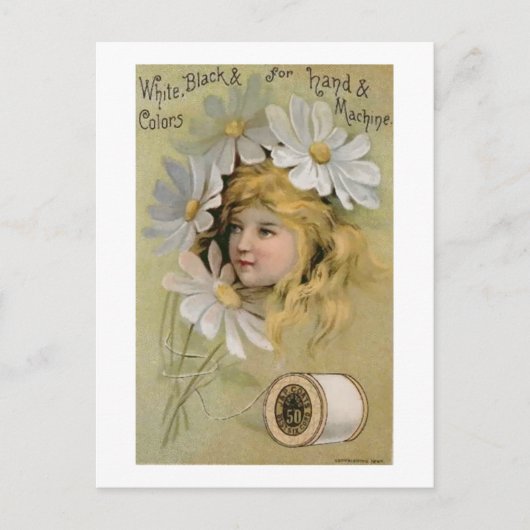 コートスレッド – デイジーガール ポストカード (正面)