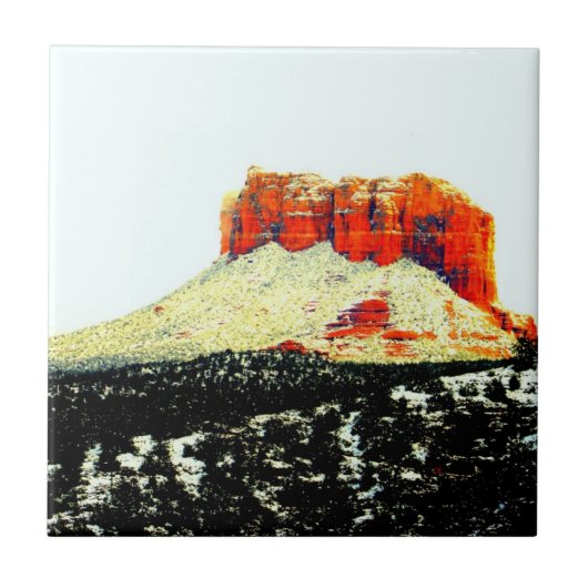 コートハウスロックのタイル タイル (正面)