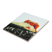 コートハウスロックのタイル タイル (側面)