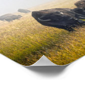 コートビゾンインイエローストーン ポスター (角)