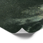 コート通りブリッジとハイウォーターの遺伝子 ポスター (角)