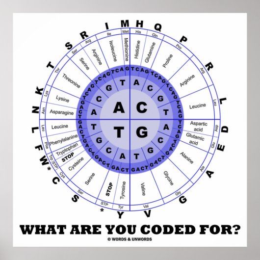 コードは何だ？（アミノ酸輪） ポスター (正面)