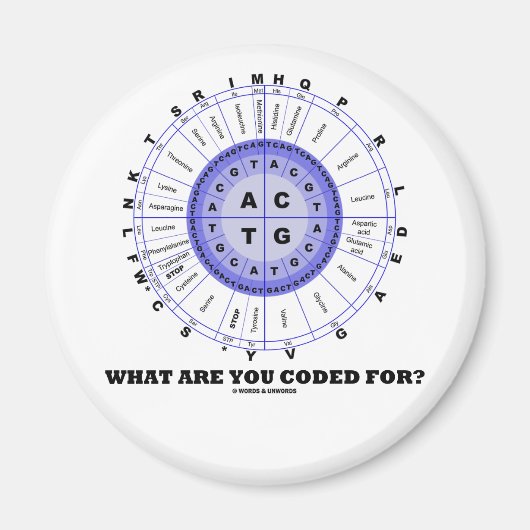 コードは何だ？（アミノ酸輪） マグネット (正面)