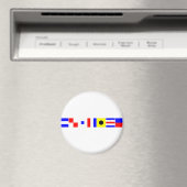 コードフラグの正義 マグネット (インサイチュ (食洗機))