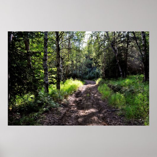 コーナのまわりにーのポスター ポスター (正面)