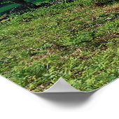 コーニッシュのクンブリア州ハイドートの借り手 ポスター (角)