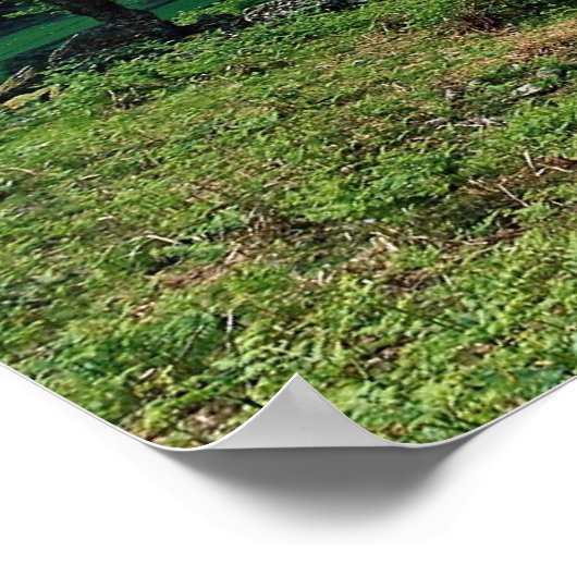 コーニッシュのクンブリア州ハイドートの借り手 ポスター (角)