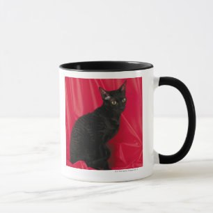 コーニッシュのレックス猫 マグカップ