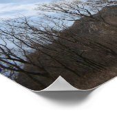 コーニッシュの財産の台なし ポスター (角)