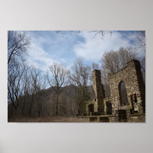 コーニッシュの財産の台なし ポスター (正面)