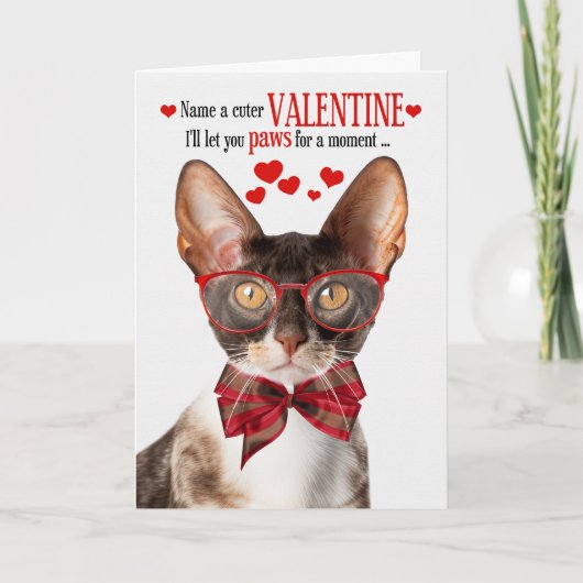 コーニッシュレックスネコ猫ユーモアバレンタインデー シーズンカード (正面)