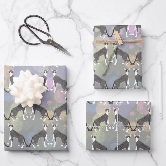 コーニッシュレックス猫用ラッピング紙シート ラッピングペーパーシート (正面)