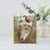 コーネリアスとヒツジ ポストカード (スタンド正面)