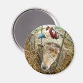 コーネリアスとヒツジ マグネット (正面/裏面)