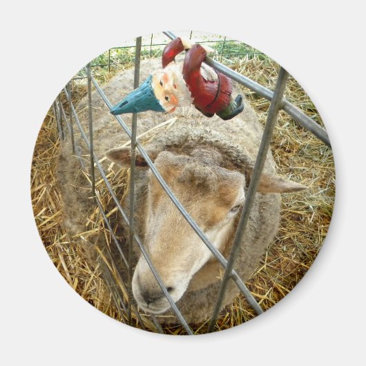 コーネリアスとヒツジ マグネット (正面)