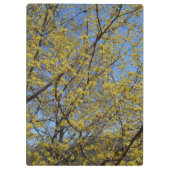 コーネリアンさくらんぼドッグウッド&ブルースカイフローラ クリップボード (裏面)