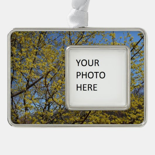 コーネリアンさくらんぼドッグウッド&ブルースカイフローラ シルバープレートフレームオーナメント (正面)