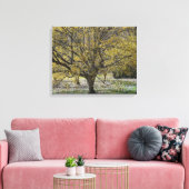 コーネリアンさくらんぼハナミズキと雪の栄光 キャンバスプリント (インサイチュ (リビング))