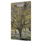 コーネリアンさくらんぼハナミズキと雪の栄光 クリップボード (左)