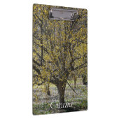 コーネリアンさくらんぼハナミズキと雪の栄光 クリップボード (右)