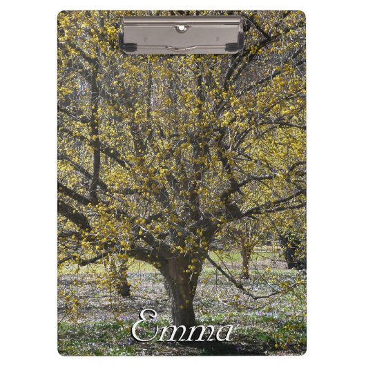 コーネリアンさくらんぼハナミズキと雪の栄光 クリップボード (正面)