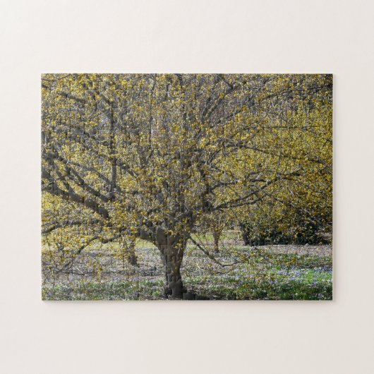 コーネリアンさくらんぼハナミズキと雪の栄光 ジグソーパズル (横)