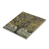 コーネリアンさくらんぼハナミズキと雪の栄光 タイル (側面)