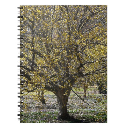 コーネリアンさくらんぼハナミズキと雪の栄光 ノートブック (正面)