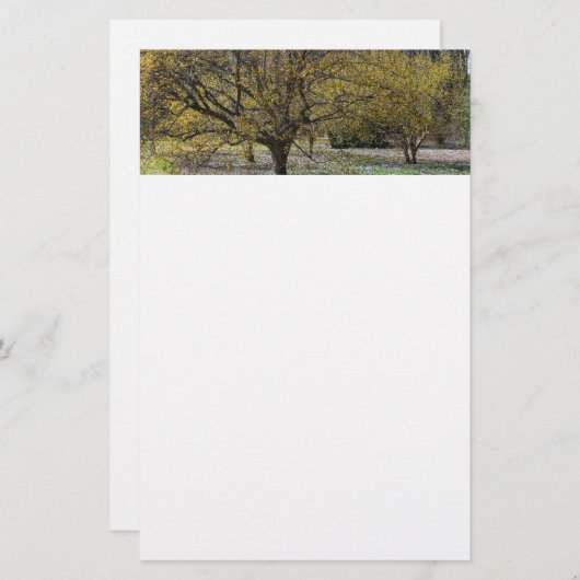 コーネリアンさくらんぼハナミズキと雪の栄光 便箋 (正面/裏面)