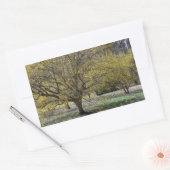 コーネリアンさくらんぼハナミズキと雪の栄光 長方形シール (封筒)