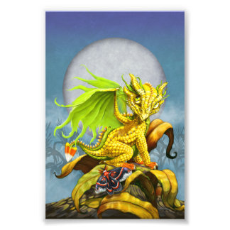 コーネンドラゴン4x6プリント フォトプリント           