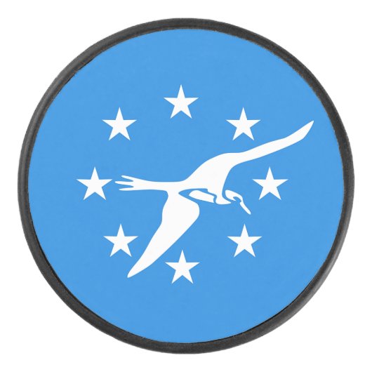 コーパスクリスティの旗と愛国的なホッケーパック アイスホッケーパック (正面)