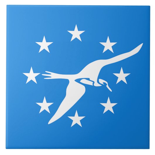 コーパスクリスティシティ国旗のタイル タイル (正面)