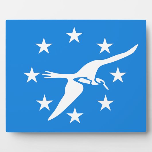 コーパスクリスティシティ国旗のプラーク フォトプラーク (正面)