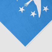 コーパスクリスティ国旗を持つ愛国的ティッシュペーパー 薄葉紙 (詳細)