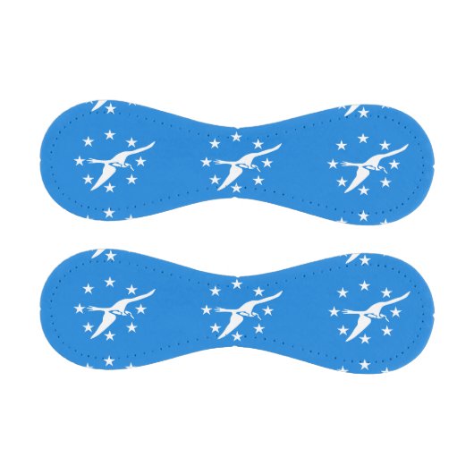 コーパスクリスティ国旗を持つ愛国野球 野球ボール (パネル)