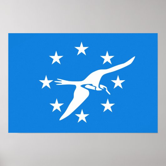 コーパスクリスティ国旗 ポスター (正面)