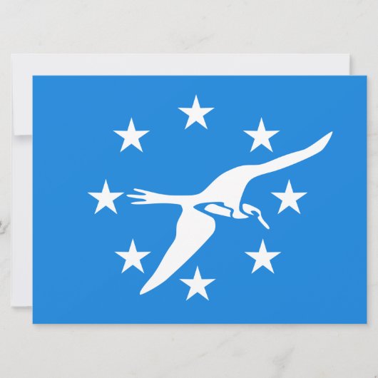 コーパスクリスティ市国旗(テキサス州) カード (正面)