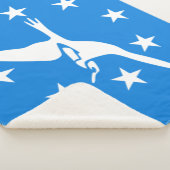 コーパスクリスティ市国旗(テキサス州) シェルパブランケット (3/4)