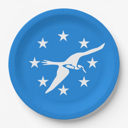 コーパスクリスティ市国旗(テキサス州) ペーパープレート (正面)