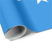 コーパスクリスティ市国旗(テキサス州) ラッピングペーパー (ロールコーナー)